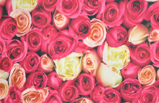 common/upload/2013/4/1/9222e9.jpg